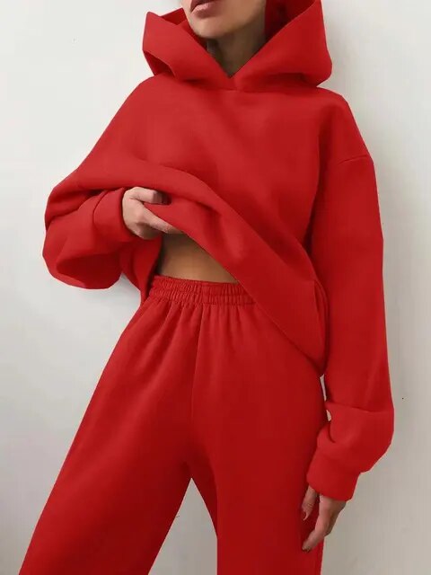 Comfortable Hoodie and Sweatpants Set | Fashion Apparel
