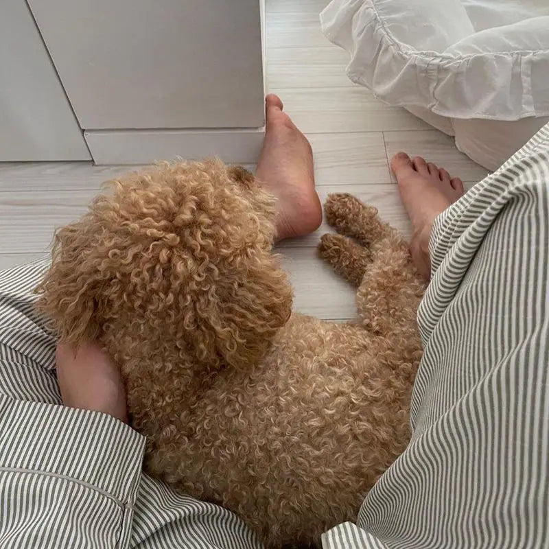 Striped Pajama Set | Women's Sleepwear